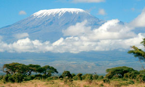 Kilimanjaro